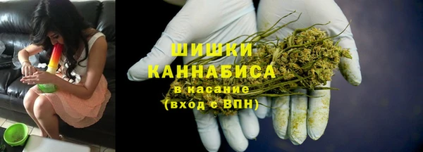 ГАЛЛЮЦИНОГЕННЫЕ ГРИБЫ Алексеевка