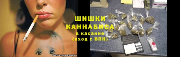 ГАЛЛЮЦИНОГЕННЫЕ ГРИБЫ Алзамай