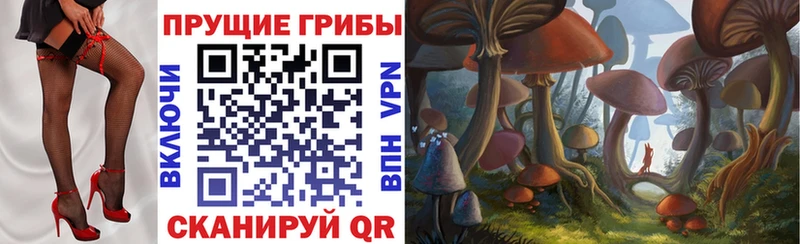 Купить закладки  Княгинино  Псилоцибиновые грибы Psilocybine cubensis 
